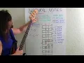 Download Lagu Bass Guitar For Beginners What Bassists Should Know