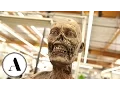 Video di Variety Artisans: Zombie Bites! Greg Nicotero and 'The Walking Dead'