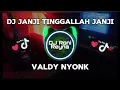 Download Lagu DJ JANJI TINGGALLAH JANJI - VALDY NYONK ( DJ TERBARU FULL BASS VIRAL TIKTOK 2024 )