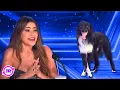 Download Lagu AGT 2024 Runner-Up Roni Sagi \u0026 Rhythm ALL Performances!