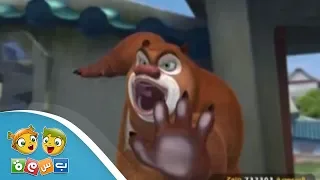 بندق وبرعم المصارعة المنغولية 