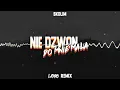 Lagu SKOLIM - Nie Dzwoń do Mnie Mała (LAYRO REMIX)