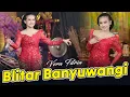 Download Lagu Vera Fitria - Blitar Banyuwangi (Official Music Video)