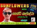 Download Lagu SUNFLOWER WITH HENRY KALDERA හෙන්රි කල්දේරා LIVE SHOW මොරටුව  2004 පැරණි සන්ෆ්ලවර් Recreated Sounds