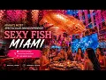Sexy Fish Miami Glamorous Nightlife Travel Guide