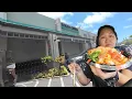 Tokyo Central Kailua Store Tour
