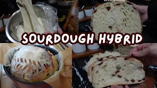 SOURDOUGH HYBRID
