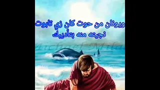 هافهم بعدين      انجي ثروت دندنها