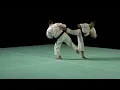 Download Lagu Waza Dan 2 | Shorinji Kempo Waza (Techniques) | Part C | 少林寺拳法