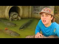 Lagu I Found Monster Fish in a Hidden Tunnel!