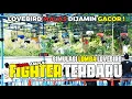 Download Lagu JAMIN FIGHTER MENINGKAT PESAT ❗❗ | SIMULASI LOMBA LOVEBIRD TERBARU 2023 🔥