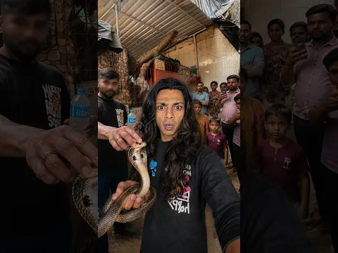 COBRA RESCUE PE HUI HARKAT!!!