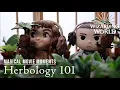 HERBOLOGY 101 Magical Movie Moments In Real Life