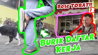 Download Bukan Disiplin Tapi Diselipin | Samidi Curanmor Terbaru | Video Lucu Ngapak MP3