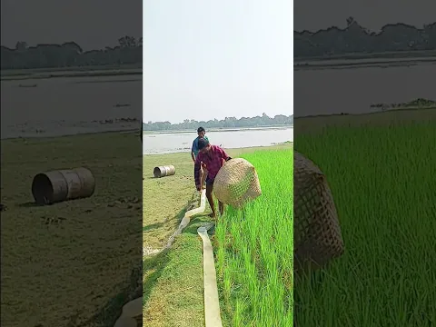 উরাধুরা বিনোদন ভাইরাল হবে ইনশাল্লাহ 😜😜