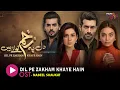Dil Pe Zakham Khaye Hain - Original Sound Track 🎵 Singer: Nabeel Shaukat - HUM MUSIC