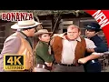 Lagu Bonanza 2025 | Part 155 | | Western Series | FULL EPISODES | The Best Cowboy TV Series 2025