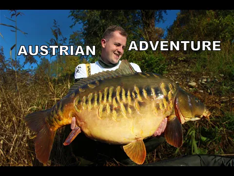 Nádherný lysec z rakouského jezera