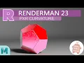 Renderman 23 Pxr Curvature Tutorial