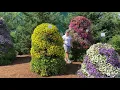 Download Lagu PVG Walkabout Garden Tour:  Oh no! What happened to the flower towers?