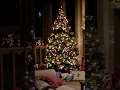 Download Lagu Jingle Bells | #christmascarols #christmas #christmasiscoming #christmasjinglebells #christmasmusic
