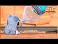 Download Lagu Lemming blues | Grizzy \u0026 the lemmings | 25' Compilation | 🐻🐹 Cartoon for Kids