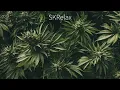 Stephen Marley - Scars On My Feet ft. Waka Flocka Flame