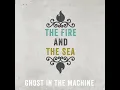 Ghost in the Machine