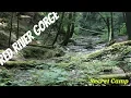 Red River Gorge Secret Camp