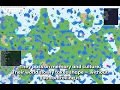 GenesisSim - A Pure Python Self-Evolving Civilization Simulator