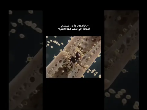 ﴿ قُلْ يُحْيِيهَا الَّذِي أَنْشَأَهَا أَوَّلَ مَرَّةٍ ۖ وَهُوَ بِكُلِّ خَلْقٍ عَلِيمٌ ﴾