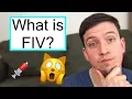 FIV and What It Means For Your Cat