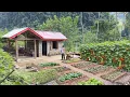 Full Video: CEO Leaves the City for the Forest, Builds a Kitchen and a House for His Dog