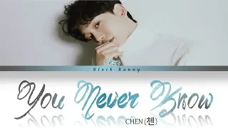 Download CHEN (첸) - You Never Know (Color Coded Lyrics Han/Rom/Eng/가사) MP3