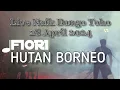Download Lagu dFIORI - Hutan Borneo • Live Naik Dango Toho 28 April 2024