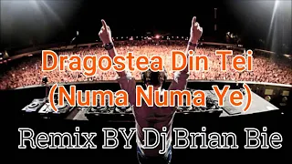 dragostea din tei numa numa ye electro manyao by dj brian bie manyaoremix manyao dj djremix