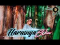 Download Lagu Via Vallen - Harusnya Aku (official) harusnya aku yang di sana dampingimu dan bukan dia