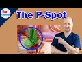Prostate massage for prostatic orgasms scrutinized UroChannel