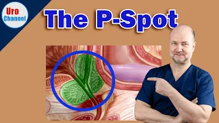 Prostate massage for prostatic orgasms scrutinized UroChannel