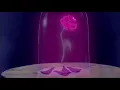 Drake Calling My Name Slowed Reverb 