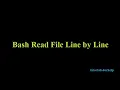 reading file in bash