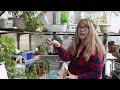Propagating Christmas Cactus Cuttings
