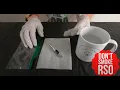 RSO Quick Start Tutorial