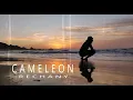 Lagu Cameleon - Rechany  ( رشـانــي )