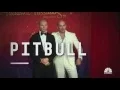 Pitbull on music industry