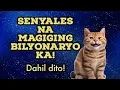 Download Lagu 🌟⭐ Ang 16 na Dahilan Bakit Swerte ang Pusa sa Bahay!