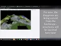 Procedural Generator in Python