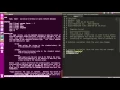 Template BASH Script