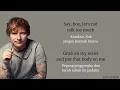 Download Lagu Ed Sheeran - Shape Of You (Lirik  Dan Terjemahan)