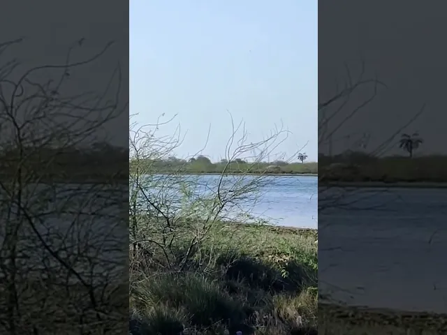 ⁣جزيرة أم الخصاصيف